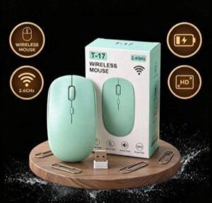 Wireless Mouse — Mint