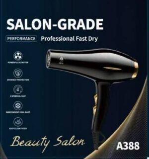Salon-Grade Professional Hair Dryer — A388