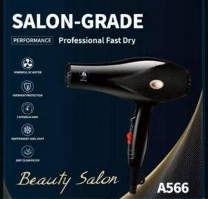 Salon-Grade Professional Hair Dryer — A566