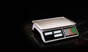 Electronic Pricing Scale