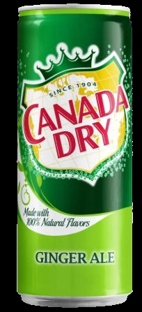 Canada Dry 330ml
